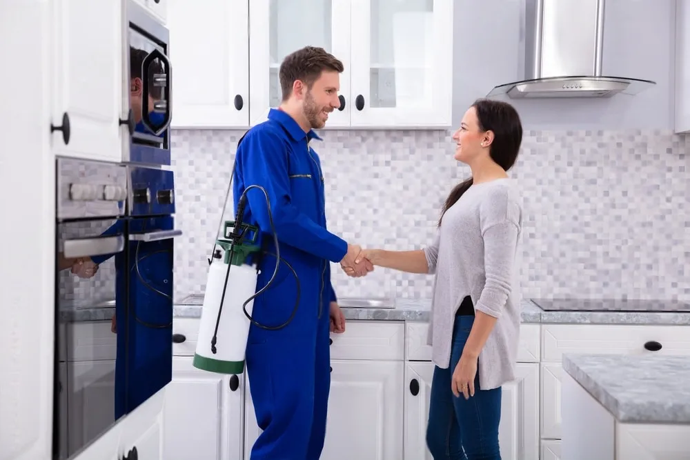 Pest Control Experts - Benicia Best Pest Pros | Benicia, CA | 707-348-9940